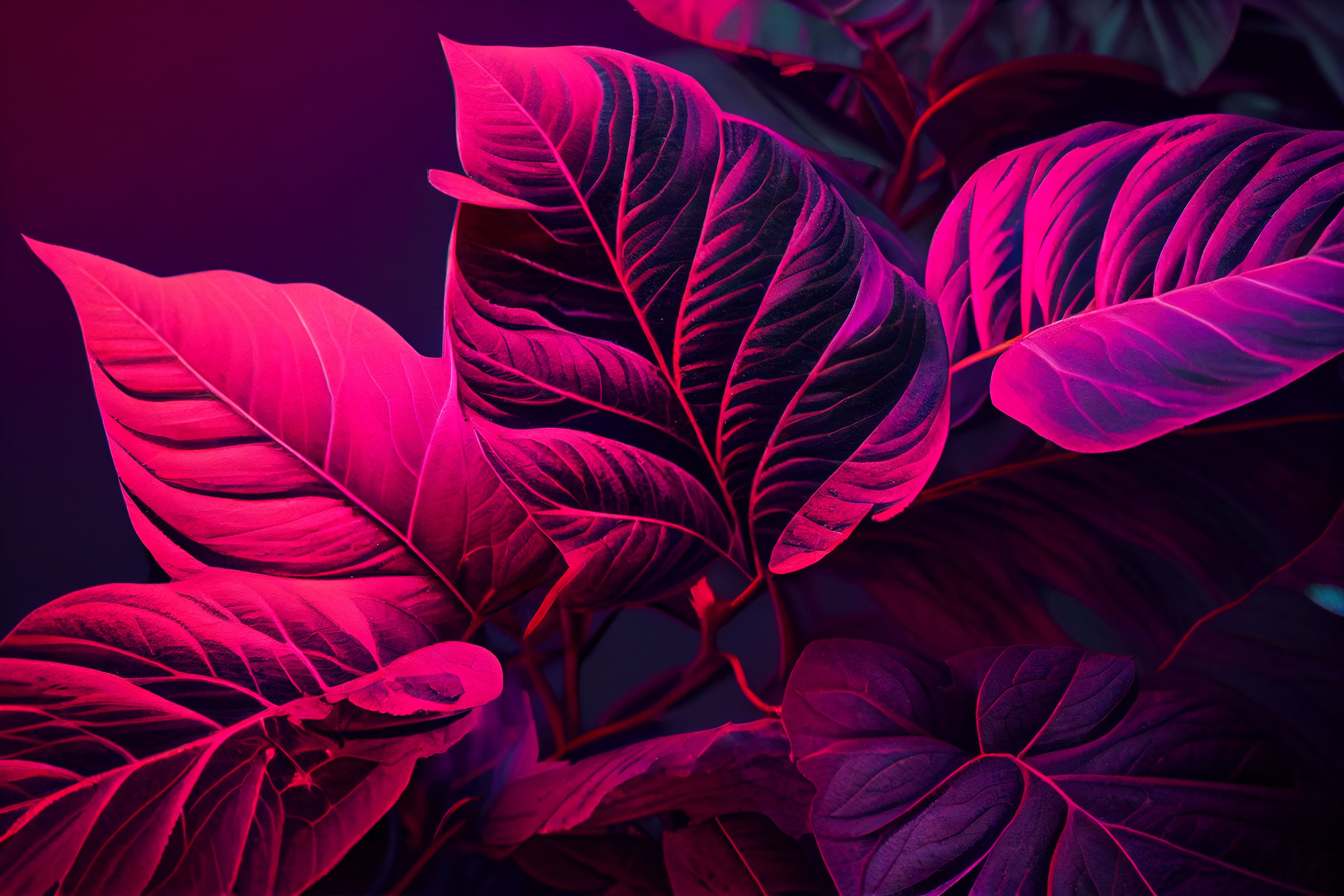 adobestock_595402824.jpg