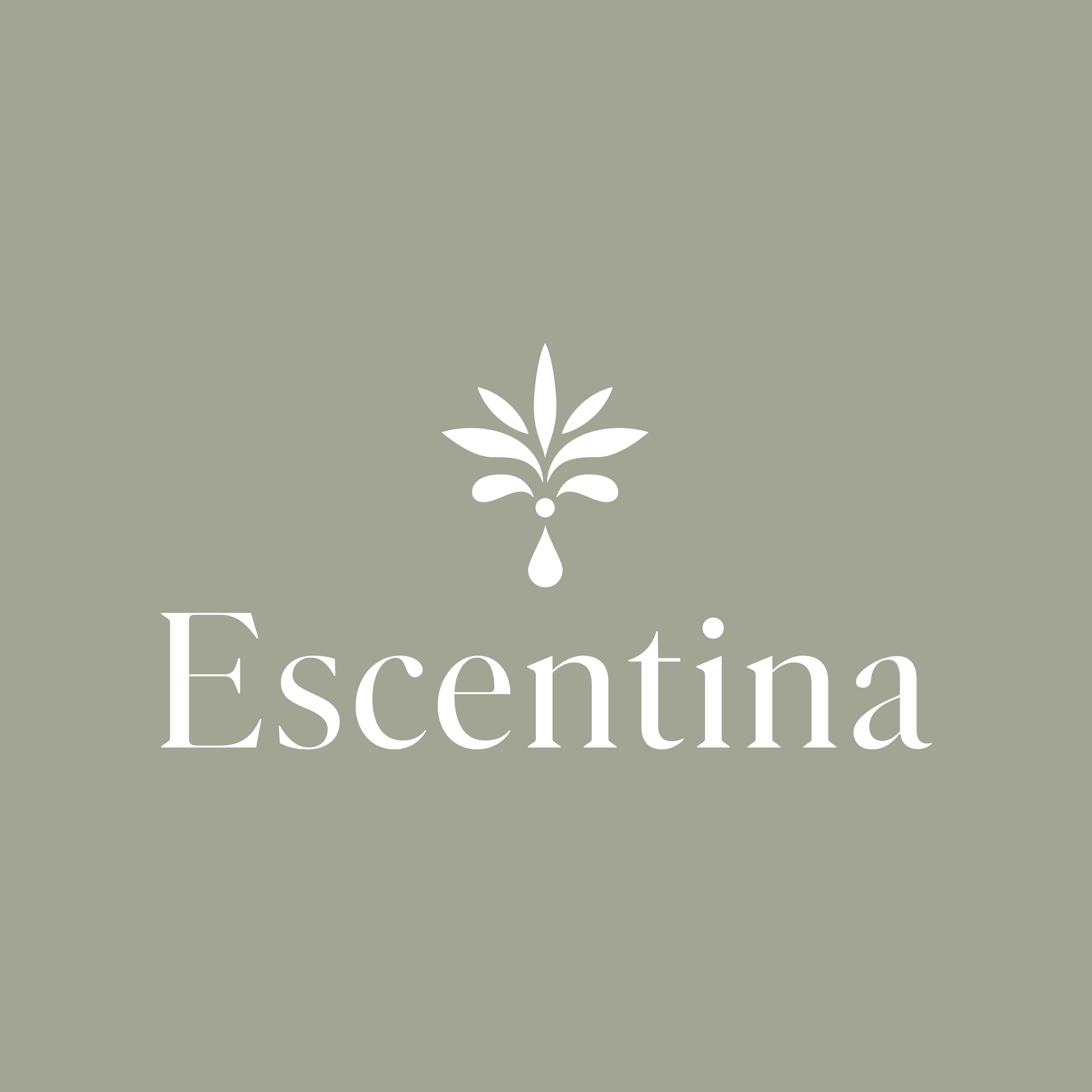 Supplier Logo